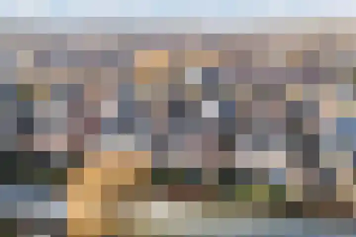 Hoornbloemlaan 9 Vleuten thumbnail 48
