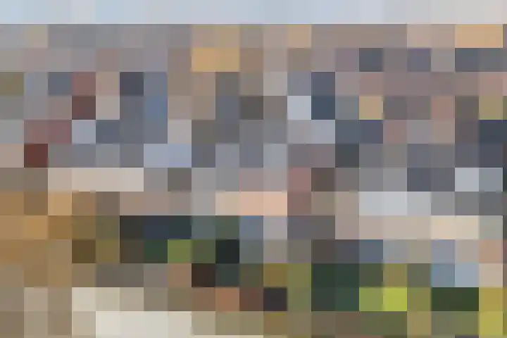 Hoornbloemlaan 9 Vleuten thumbnail 49