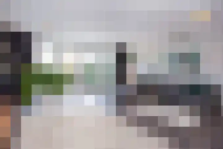 Hoornbloemlaan 9 Vleuten thumbnail 5