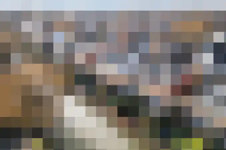Hoornbloemlaan 9 Vleuten thumbnail 50