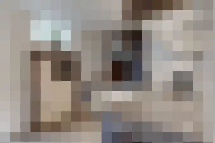 Hoornbloemstraat 24 Zevenbergen thumbnail 21