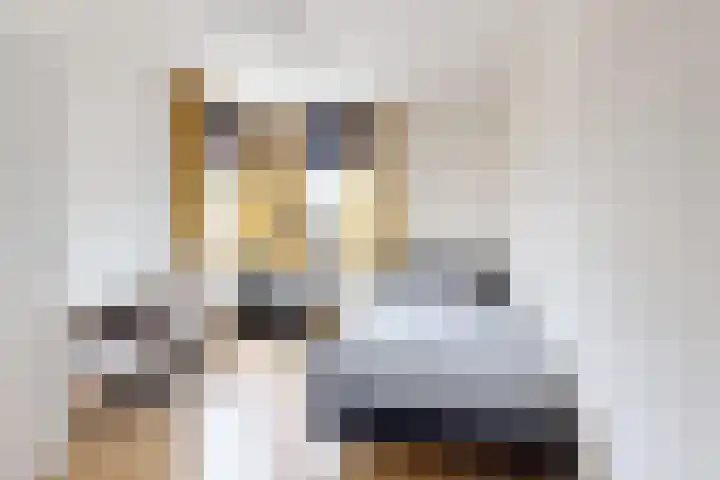 Hoornbloemstraat 24 Zevenbergen thumbnail 36