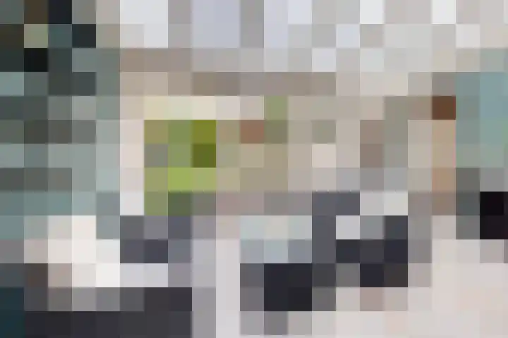 Hoornbloemstraat 24 Zevenbergen thumbnail 4