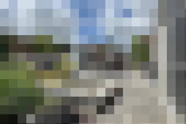 Hoornbloemstraat 24 Zevenbergen thumbnail 6