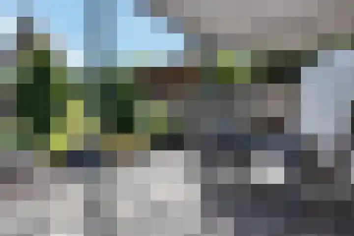 Hoornbloemstraat 24 Zevenbergen thumbnail 61