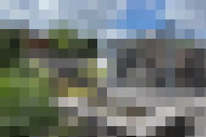 Hoornbloemstraat 24 Zevenbergen thumbnail 62