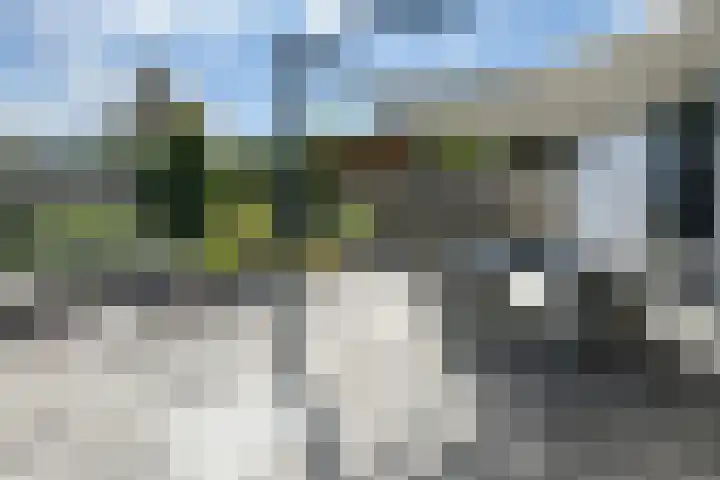 Hoornbloemstraat 24 Zevenbergen thumbnail 63