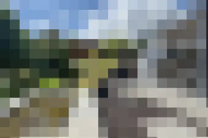 Hoornbloemstraat 24 Zevenbergen thumbnail 64