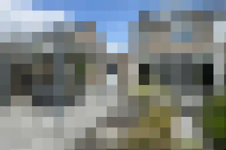Hoornbloemstraat 24 Zevenbergen thumbnail 65
