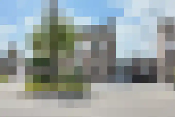 Hoornbloemstraat 24 Zevenbergen thumbnail 69