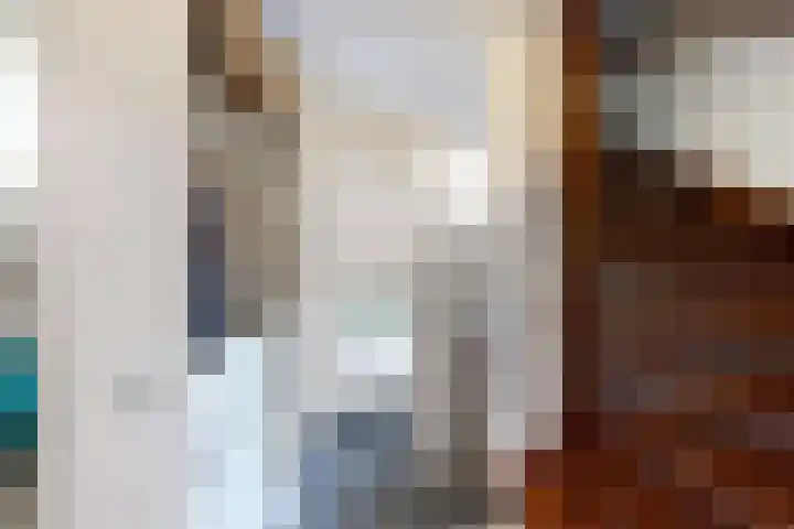 Hoornbloemstraat 24 Zevenbergen thumbnail 7