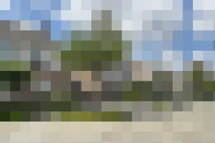 Hoornbloemstraat 24 Zevenbergen thumbnail 71