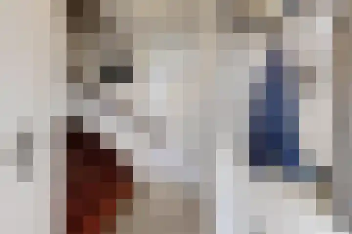 Hoornbloemstraat 24 Zevenbergen thumbnail 8