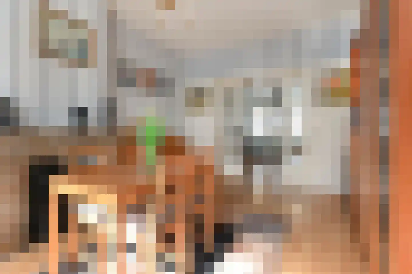 Hoornbruglaan 12 Rijswijk thumbnail 16