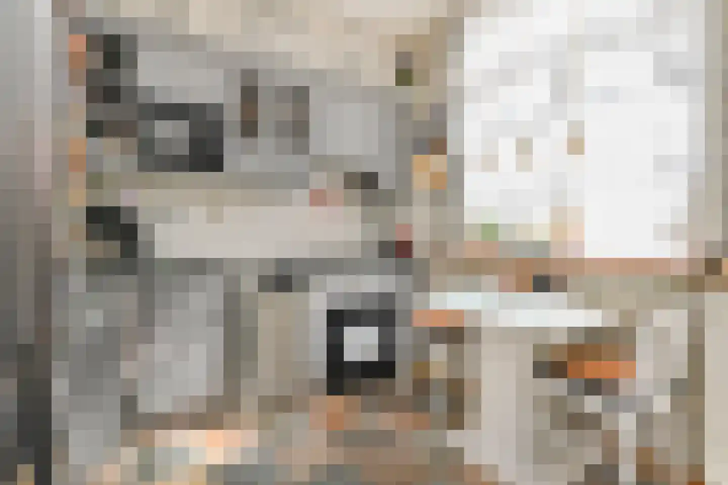 Hoornbruglaan 12 Rijswijk thumbnail 21