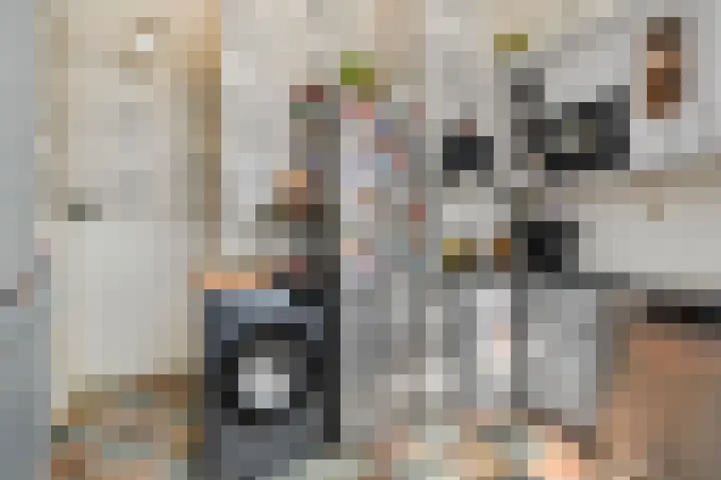Hoornbruglaan 12 Rijswijk thumbnail 22