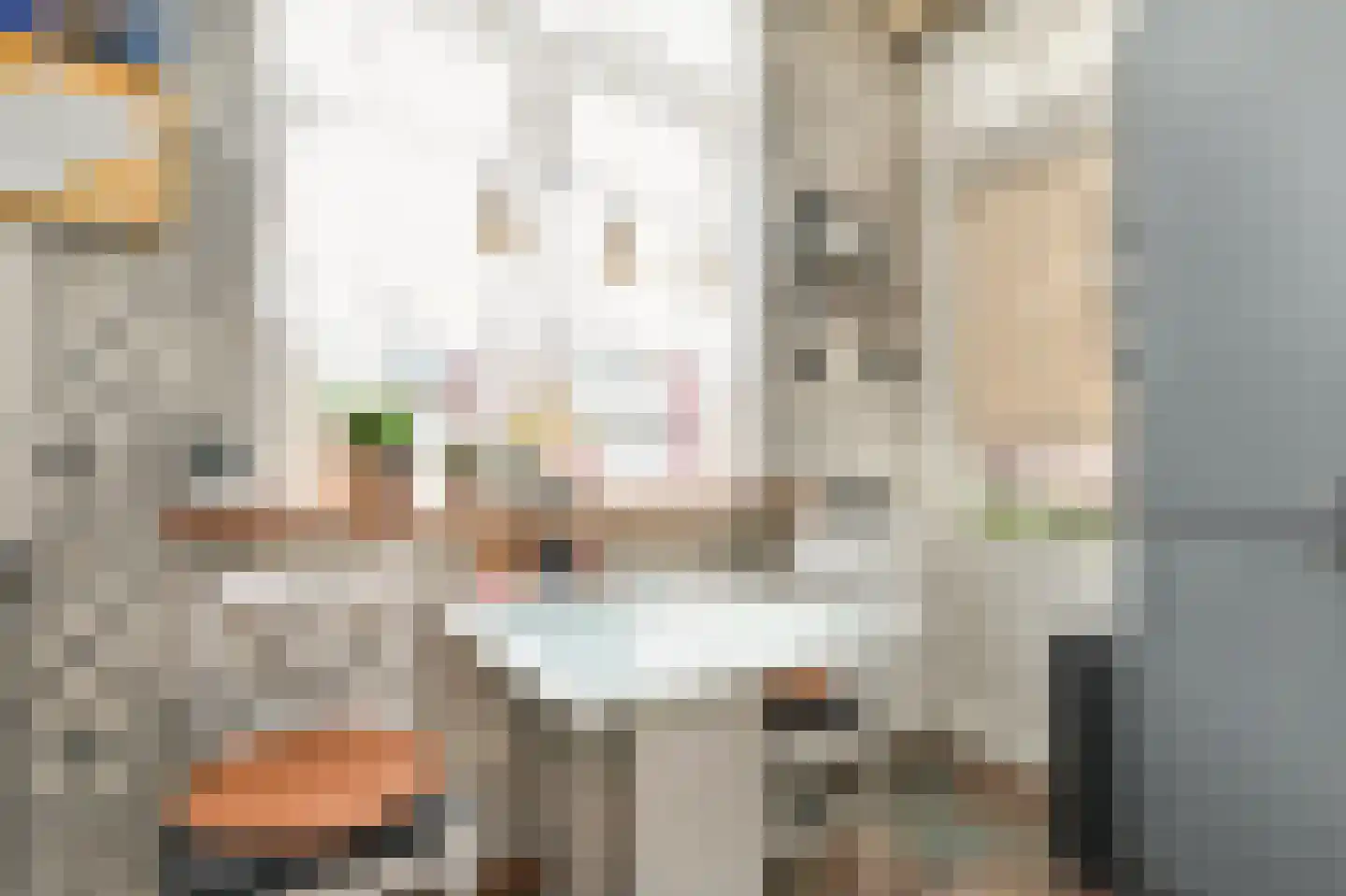 Hoornbruglaan 12 Rijswijk thumbnail 24