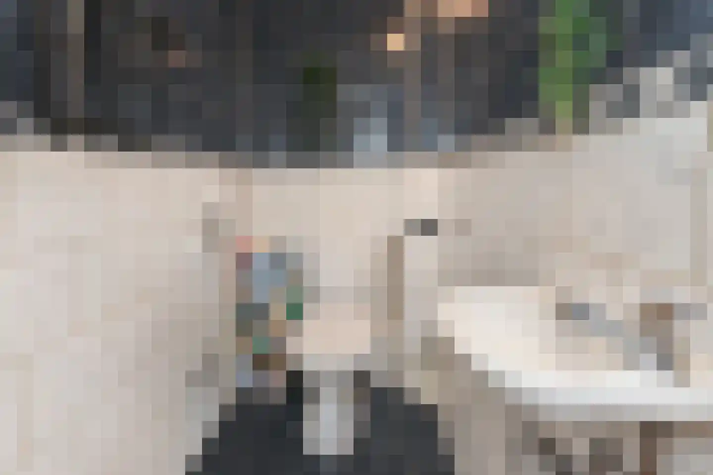 Hoornbruglaan 12 Rijswijk thumbnail 26