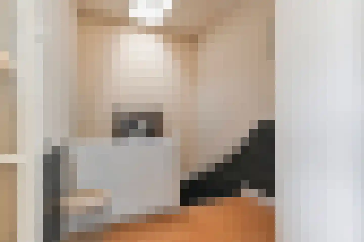 Hoornbruglaan 12 Rijswijk thumbnail 27