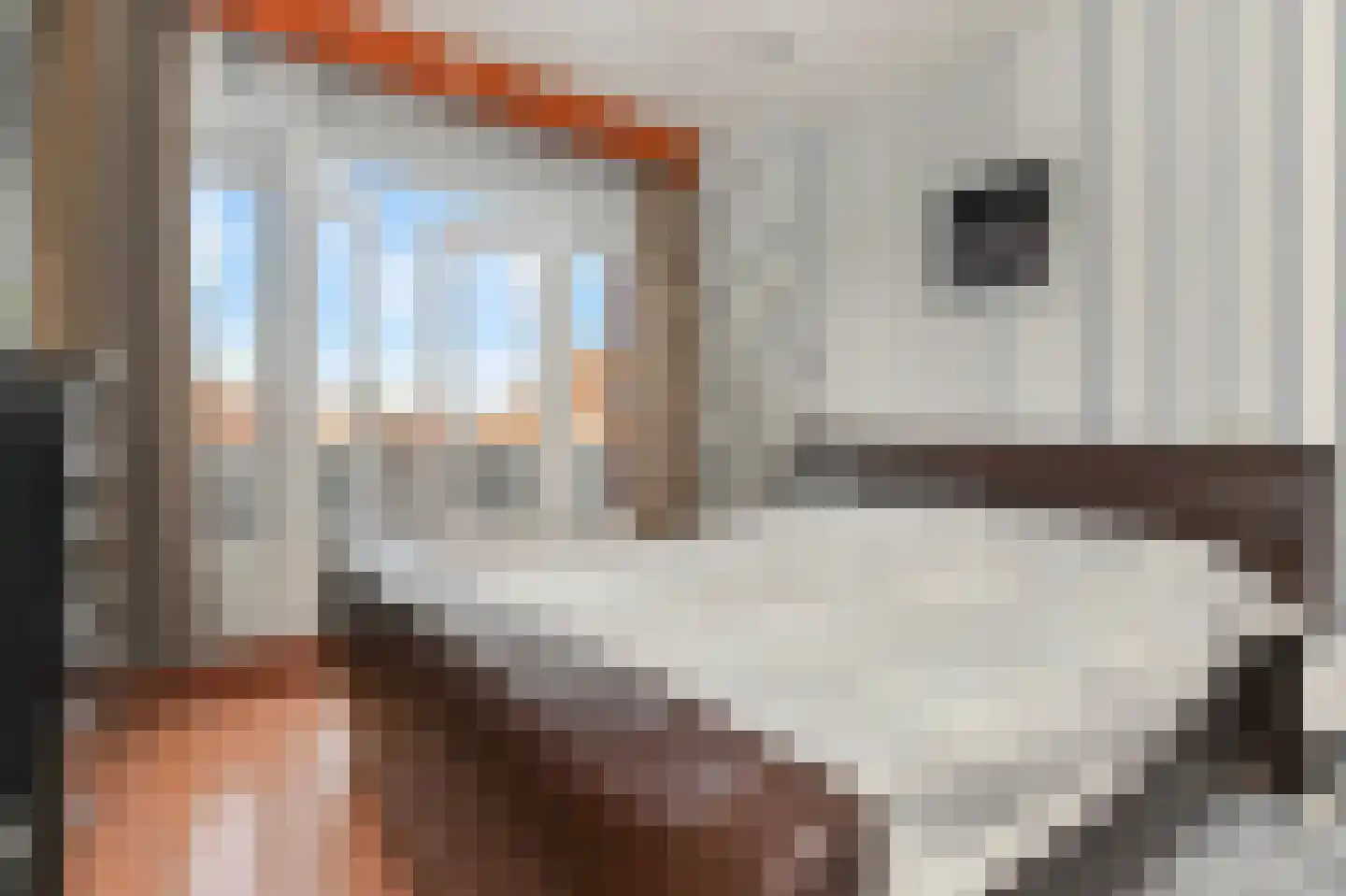 Hoornbruglaan 12 Rijswijk thumbnail 30