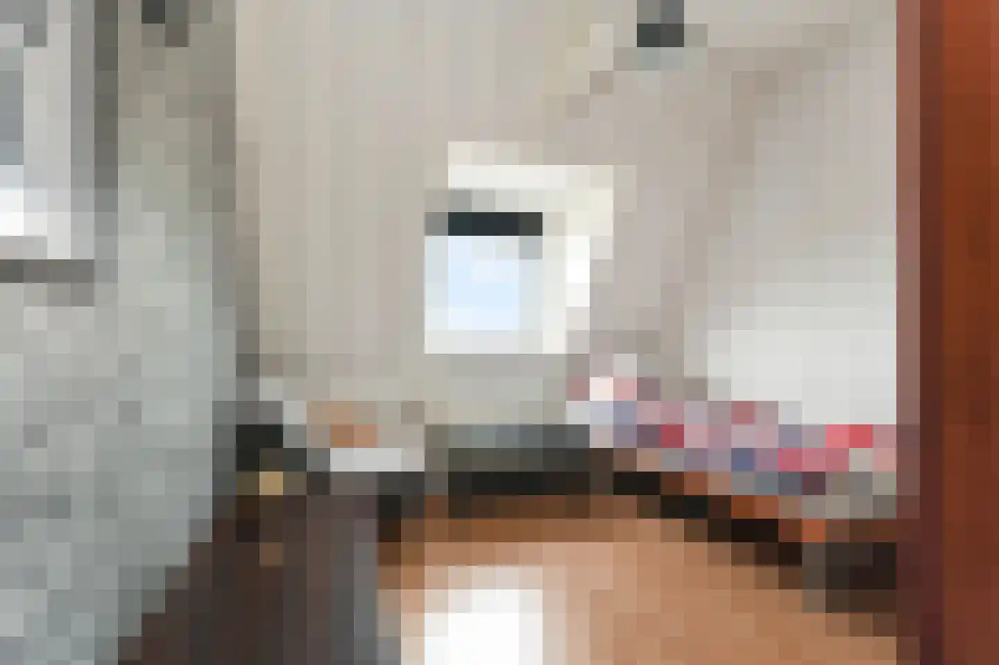 Hoornbruglaan 12 Rijswijk thumbnail 32