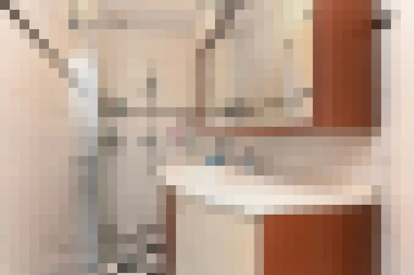 Hoornbruglaan 12 Rijswijk thumbnail 8