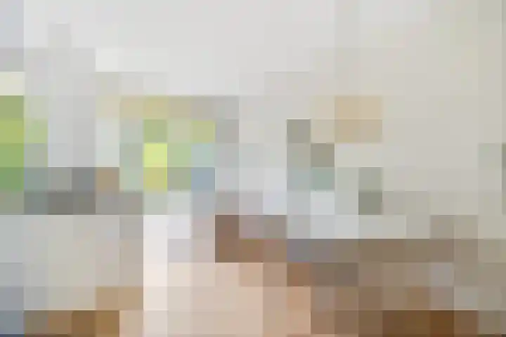Hoornbruglaan 39 Rijswijk thumbnail 14