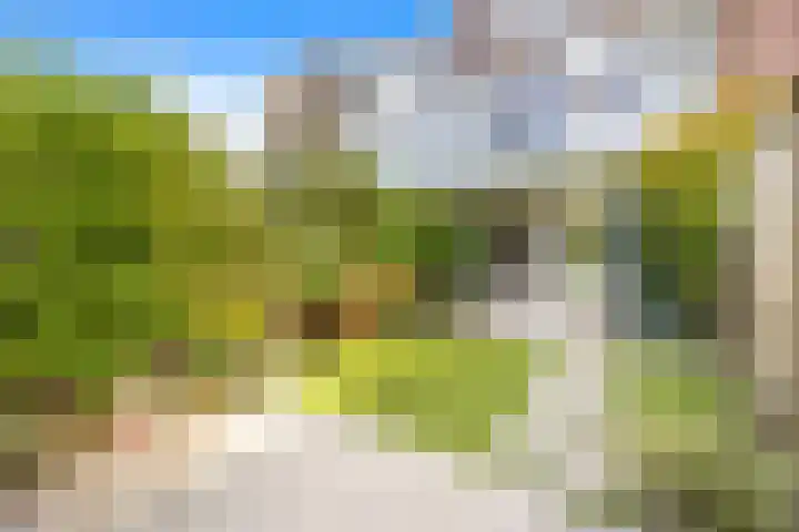 Hoornbruglaan 39 Rijswijk thumbnail 16