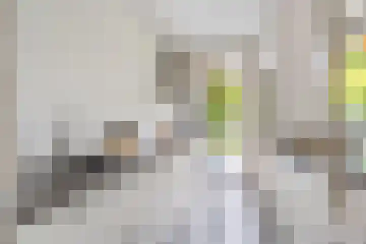 Hoornbruglaan 39 Rijswijk thumbnail 19