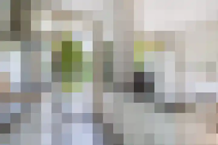 Hoornbruglaan 39 Rijswijk thumbnail 20