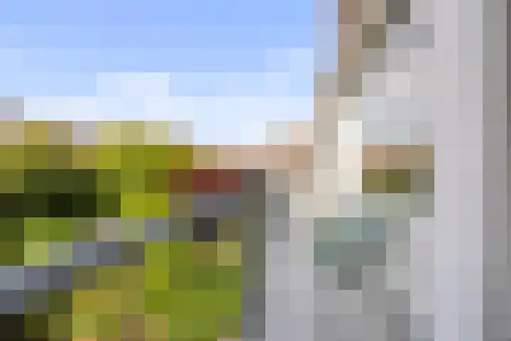 Hoornbruglaan 39 Rijswijk thumbnail 26