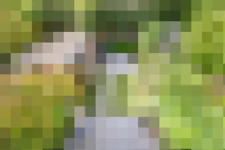 Hoornbruglaan 39 Rijswijk thumbnail 28