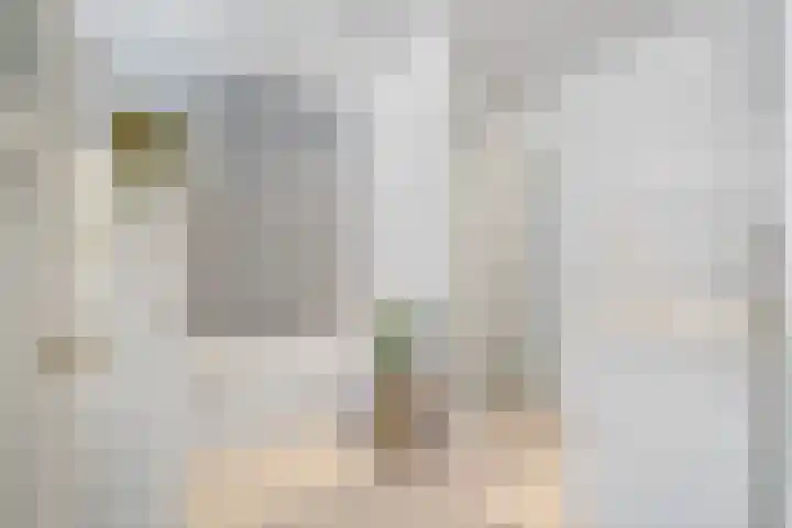 Hoornbruglaan 39 Rijswijk thumbnail 29