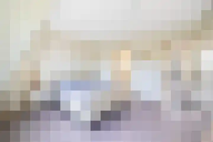Hoornbruglaan 39 Rijswijk thumbnail 33