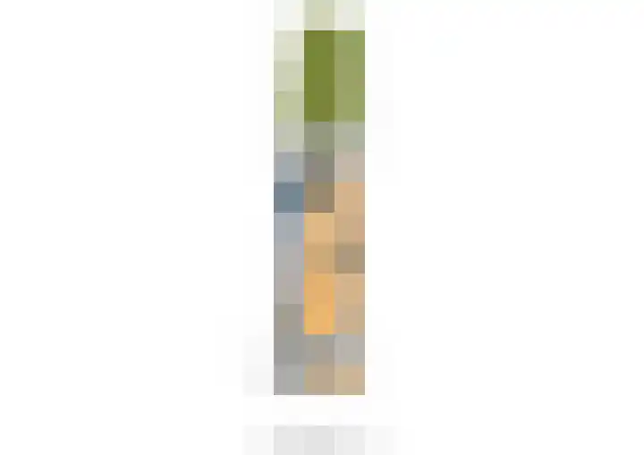 Hoornbruglaan 39 Rijswijk thumbnail 38