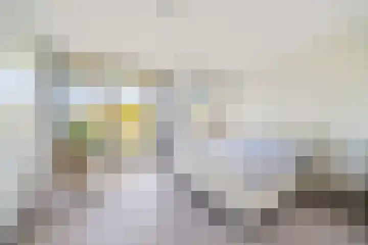 Hoornbruglaan 39 Rijswijk thumbnail 4