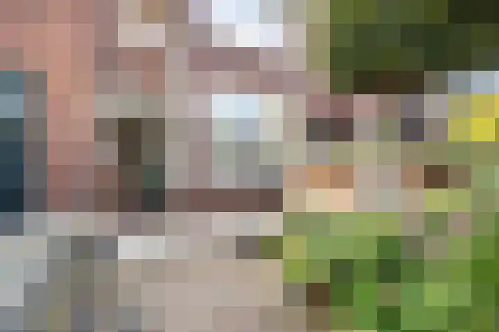 Hoornbruglaan 39 Rijswijk thumbnail 6