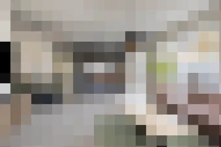 Hoornbruglaan 86 Rijswijk thumbnail 13