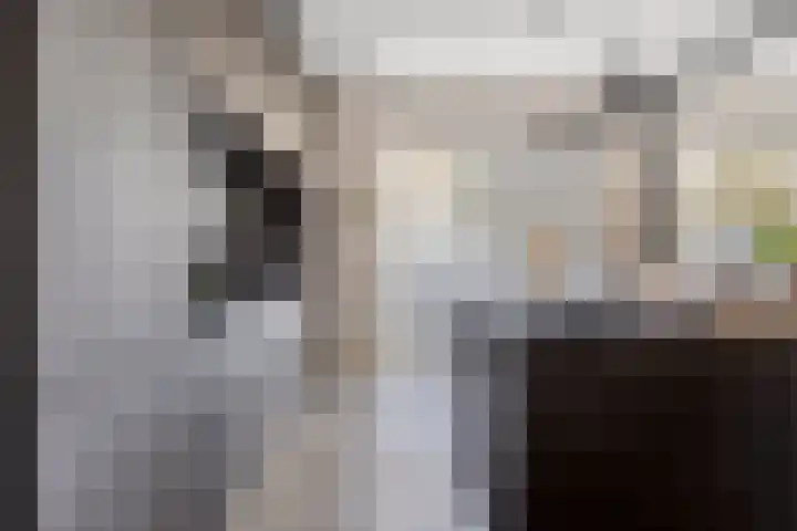 Hoornbruglaan 86 Rijswijk thumbnail 16