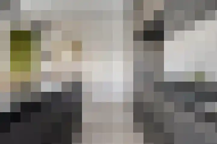 Hoornbruglaan 86 Rijswijk thumbnail 17