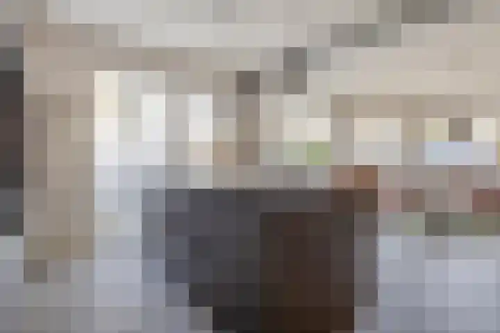 Hoornbruglaan 86 Rijswijk thumbnail 18