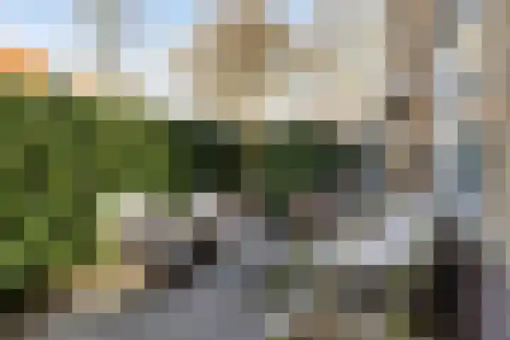 Hoornbruglaan 86 Rijswijk thumbnail 21