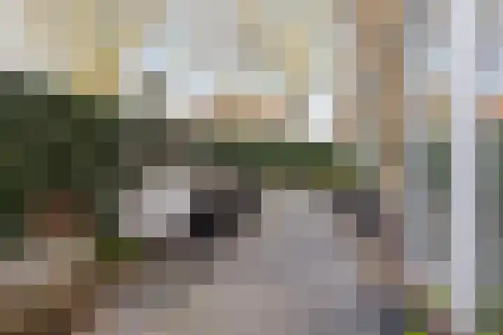 Hoornbruglaan 86 Rijswijk thumbnail 22