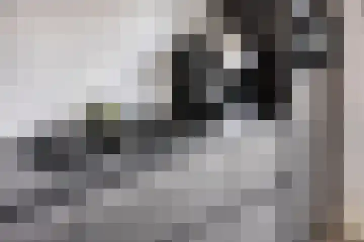 Hoornbruglaan 86 Rijswijk thumbnail 24