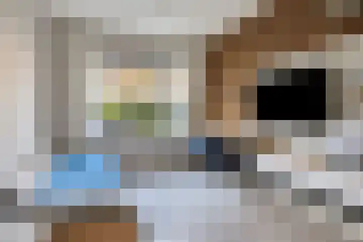 Hoornbruglaan 86 Rijswijk thumbnail 30