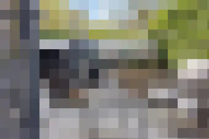Hoornbruglaan 86 Rijswijk thumbnail 35