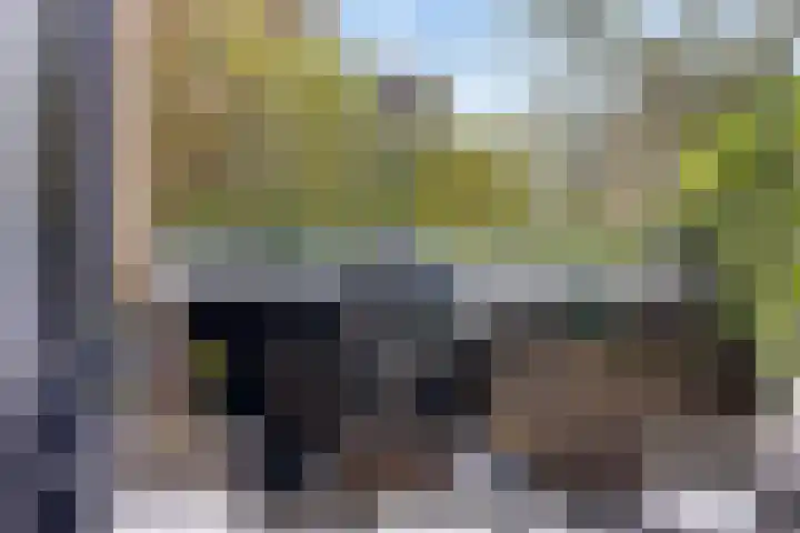 Hoornbruglaan 86 Rijswijk thumbnail 36