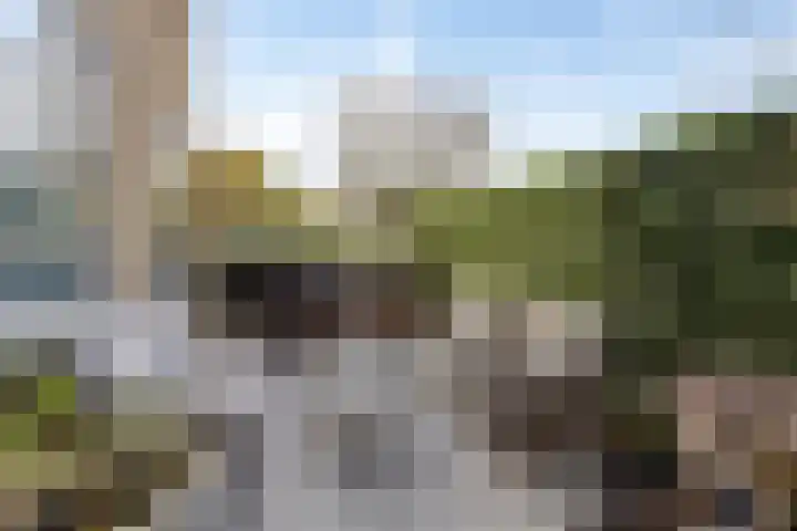 Hoornbruglaan 86 Rijswijk thumbnail 40