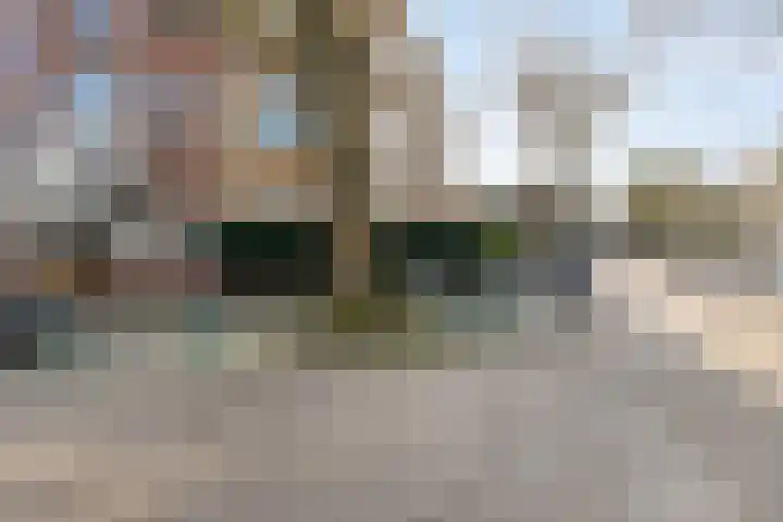 Hoornbruglaan 86 Rijswijk thumbnail 42