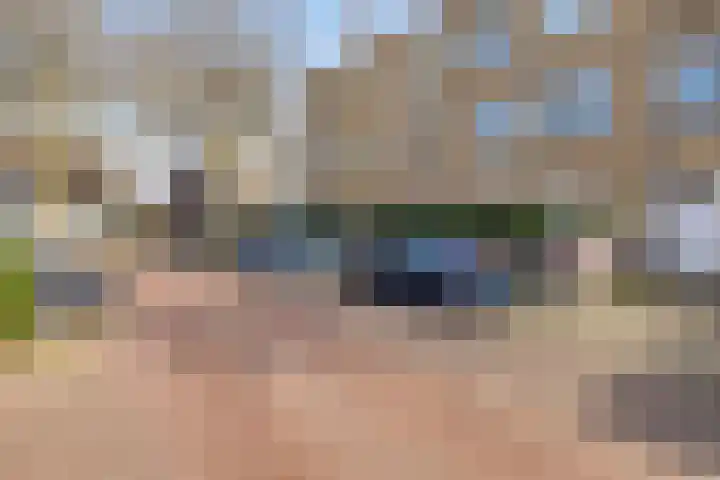 Hoornbruglaan 86 Rijswijk thumbnail 43